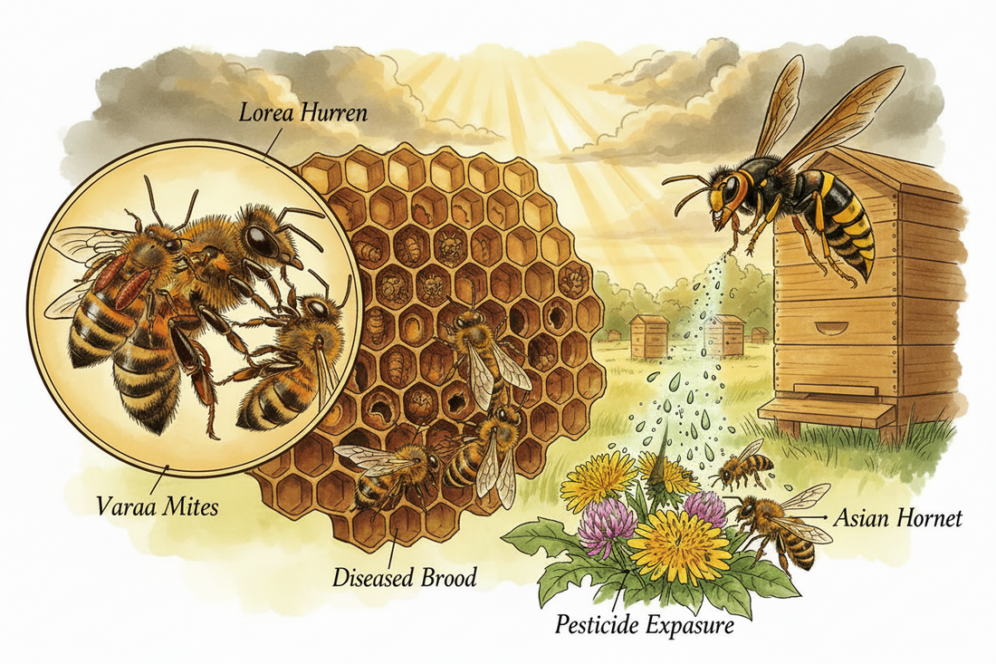 Les menaces qui pèsent sur nos abeilles : varroa, maladies et pesticides